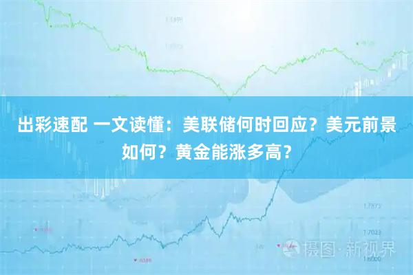 出彩速配 一文读懂：美联储何时回应？美元前景如何？黄金能涨多高？