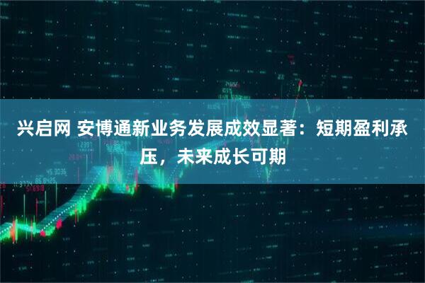 兴启网 安博通新业务发展成效显著：短期盈利承压，未来成长可期