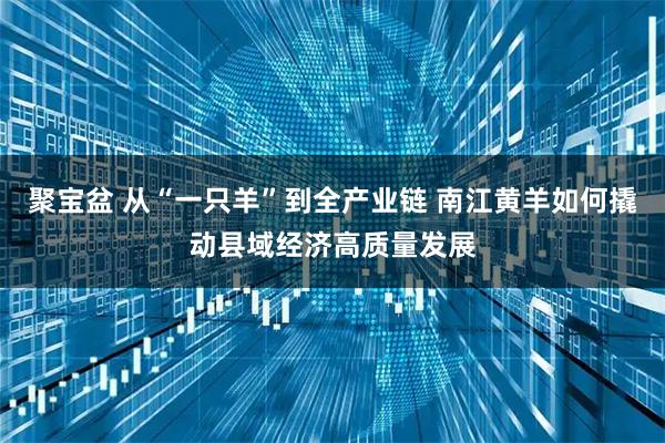 聚宝盆 从“一只羊”到全产业链 南江黄羊如何撬动县域经济高质量发展